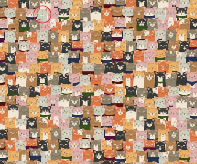 Spotting the Origami Cat: A 6-Second Optical Challenge Without Hints