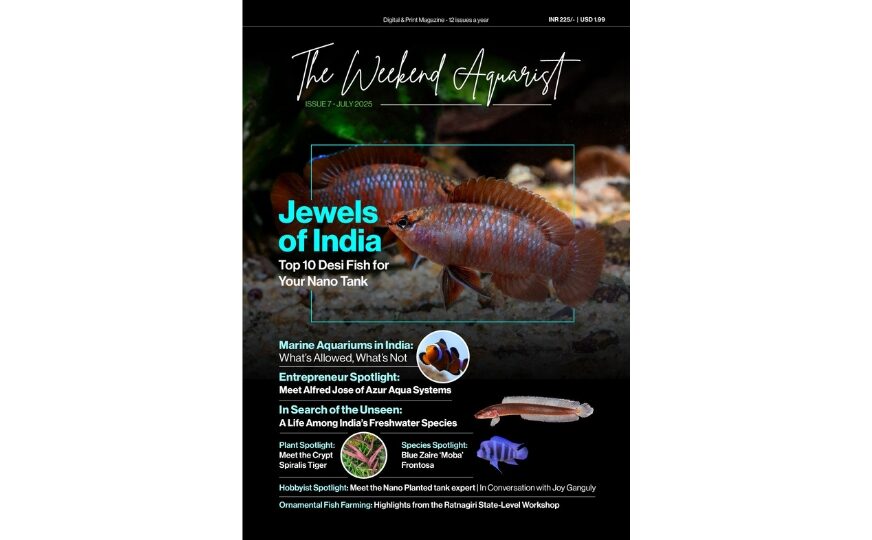The Weekend Aquarist Releases Its 7th Issue — Available on Magzter and in Print Across India