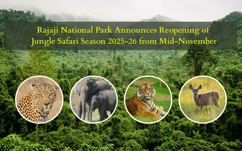 Rajaji National Park Announces Reopening of Jungle Safari Season from Mid-November